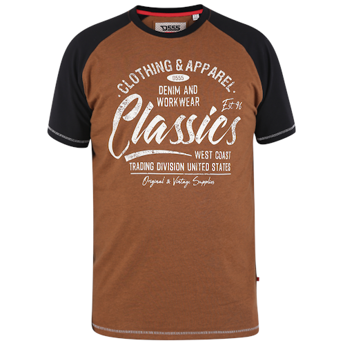 D555 Charmouth Classics Clothing Apparel Print T-Shirt Braun